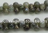 CLB630 15.5 inches 4*9mm bone AB-color labradorite beads