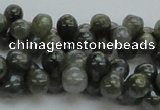 CLB631 15.5 inches 6*12mm bone AB-color labradorite beads