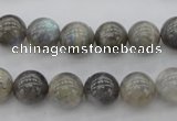 CLB65 15.5 inches 10mm round labradorite gemstone beads wholesale