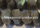 CLB701 15.5 inches 12*22mm - 14*24mm faceted nuggets labradorite beads