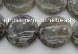 CLB738 15.5 inches 20mm flat round labradorite gemstone beads