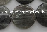 CLB739 15.5 inches 30mm flat round labradorite gemstone beads