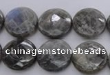 CLB744 15.5 inches 16mm faceted coin labradorite gemstone beads