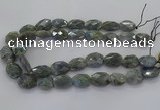 CLB769 15.5 inches 13*18mm - 18*25mm faceted freeform labradorite beads