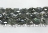 CLB797 18*24mm - 20*25mm faceted octagonal labradorite beads