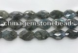 CLB798 20*28mm - 22*32mm faceted octagonal labradorite beads