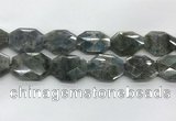 CLB799 25*30mm - 25*35mm faceted octagonal labradorite beads