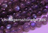 CLB812 15 inches 6mm round blue labradorite gemstone beads