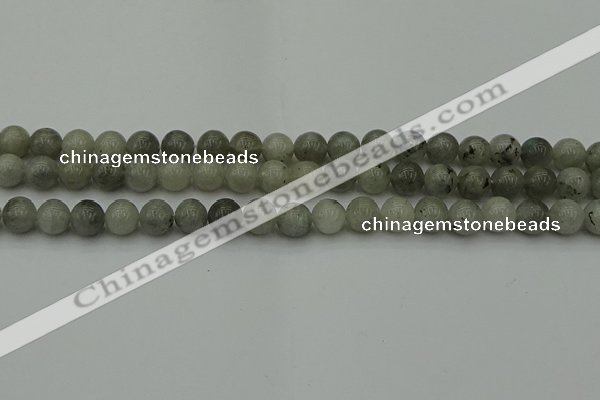 CLB852 15.5 inches 8mm round AB grade labradorite beads wholesale