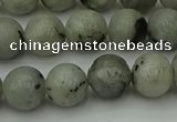 CLB853 15.5 inches 10mm round AB grade labradorite beads wholesale