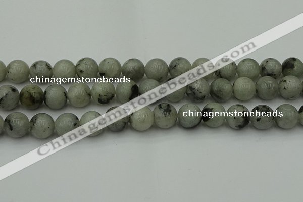 CLB855 15.5 inches 14mm round AB grade labradorite beads wholesale