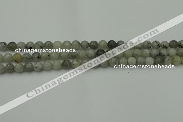 CLB860 15.5 inches 4mm faceted round AB grade labradorite beads