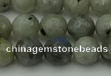 CLB863 15.5 inches 10mm faceted round AB grade labradorite beads