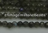 CLB900 15.5 inches 4mm faceted round labradorite gemstone beads