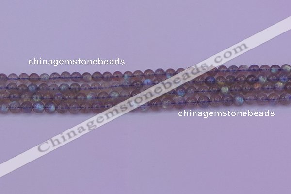 CLB911 15.5 inches 5mm round labradorite gemstone beads