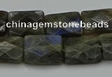 CLB962 15.5 inches 13*18mm faceted rectangle labradorite beads