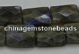 CLB963 15.5 inches 15*20mm faceted rectangle labradorite beads