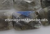 CLB97 15.5 inches 20*30mm faceted rectangle labradorite beads