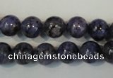 CLJ233 15.5 inches 10mm round dyed sesame jasper beads wholesale