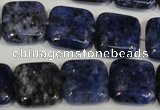 CLJ274 15.5 inches 16*16mm square dyed sesame jasper beads wholesale