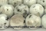 CLJ651 15 inches 8mm faceted round sesame jasper beads