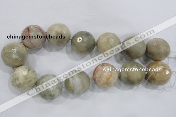 CLS04 15.5 inches 30mm faceted round large fossil coral beads