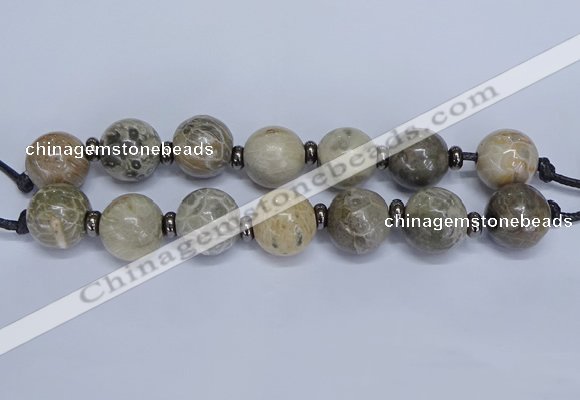 CLS200 7.5 inches 25mm round large chrysanthemum agate beads