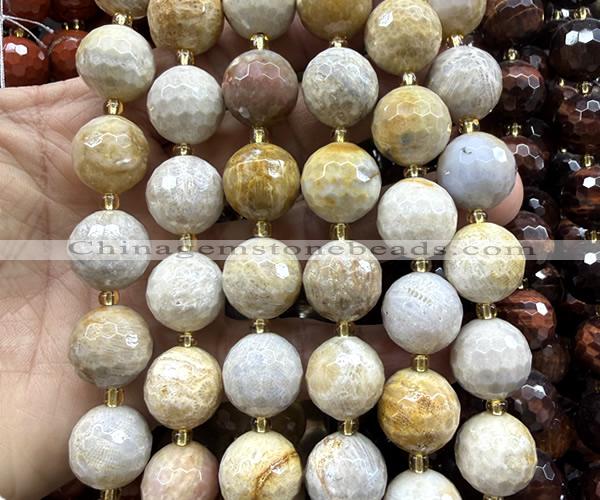 CLS443 15 inches 16mm faceted round fossil coral beads