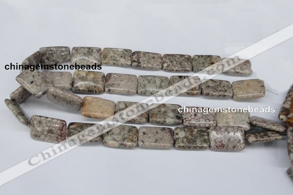 CMB27 15.5 inches 18*25mm rectangle natural medical stone beads