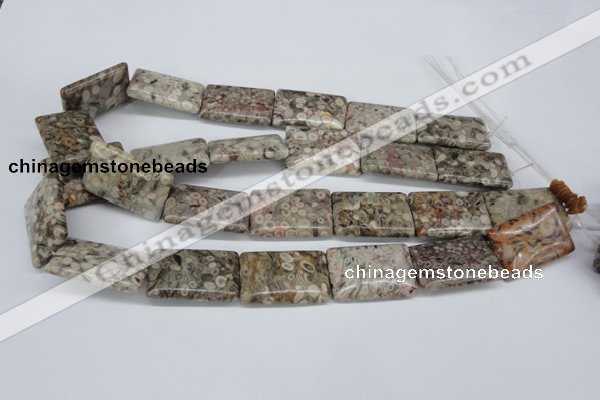 CMB28 15.5 inches 20*30mm rectangle natural medical stone beads