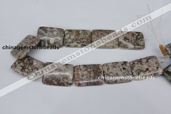 CMB29 15.5 inches 30*40mm rectangle natural medical stone beads