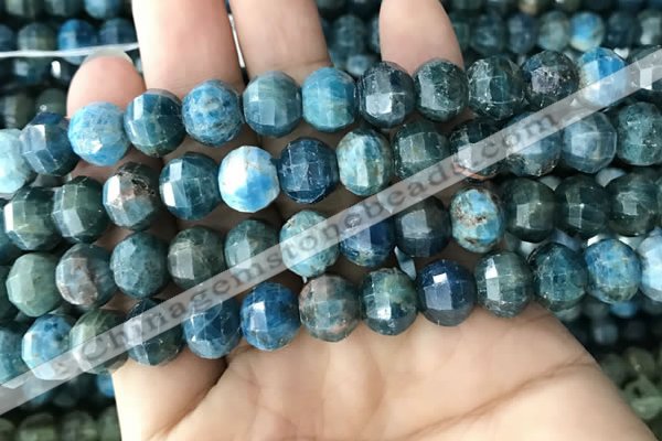 CME247 15.5 inches 10*11mm - 10*12mm pumpkin apatite beads