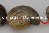 CMM02 15.5 inches 18*25mm - 35*45mm carved ammonite gemstone beads
