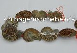 CMM03 15.5 inches 35*45mm - 45*55mm carved ammonite gemstone beads