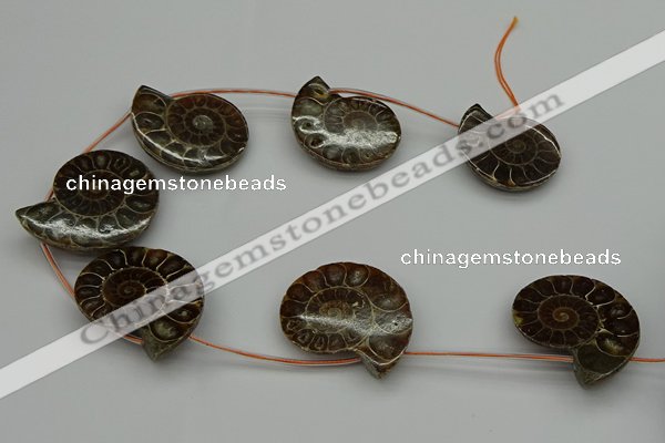 CMM05 15.5 inches 30*35mm - 35*40mm carved ammonite gemstone beads