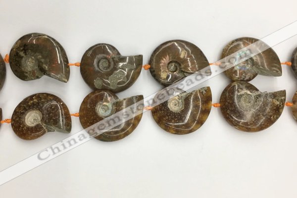 CMM10 15.5 inches 30*40mm - 35*45mm carved ammonite gemstone beads