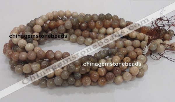 CMS03 15.5 inches 10mm round moonstone gemstone beads wholesale