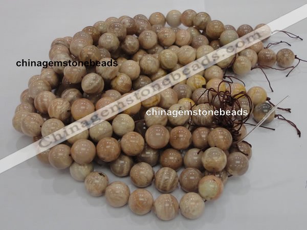 CMS04 15.5 inches 18mm round moonstone gemstone beads wholesale