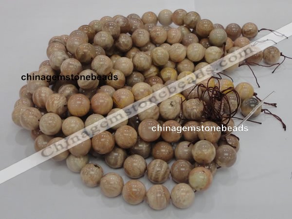 CMS05 15.5 inches 20mm round moonstone gemstone beads wholesale