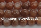 CMS1002 15.5 inches 8mm round AA grade moonstone gemstone beads