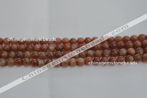 CMS1002 15.5 inches 8mm round AA grade moonstone gemstone beads