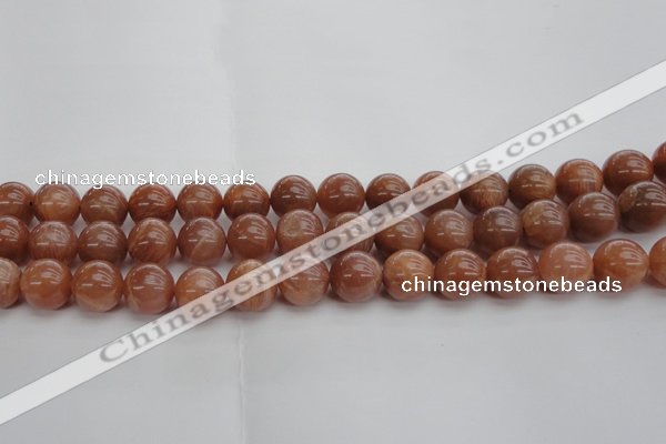 CMS1005 15.5 inches 14mm round AA grade moonstone gemstone beads