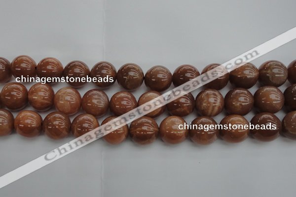 CMS1006 15.5 inches 16mm round AA grade moonstone gemstone beads