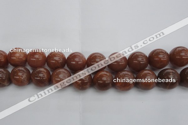 CMS1008 15.5 inches 20mm round AA grade moonstone gemstone beads