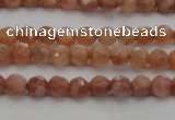 CMS1010 15.5 inches 4mm faceted round AA grade moonstone beads