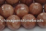 CMS1016 15.5 inches 14mm faceted round AA grade moonstone beads