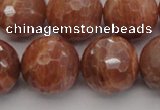 CMS1017 15.5 inches 16mm faceted round AA grade moonstone beads