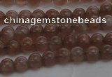 CMS1020 15.5 inches 4mm round AA grade moonstone gemstone beads