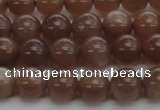 CMS1022 15.5 inches 8mm round AA grade moonstone gemstone beads