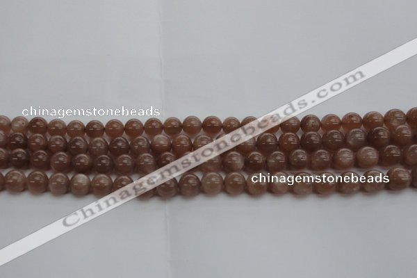 CMS1022 15.5 inches 8mm round AA grade moonstone gemstone beads